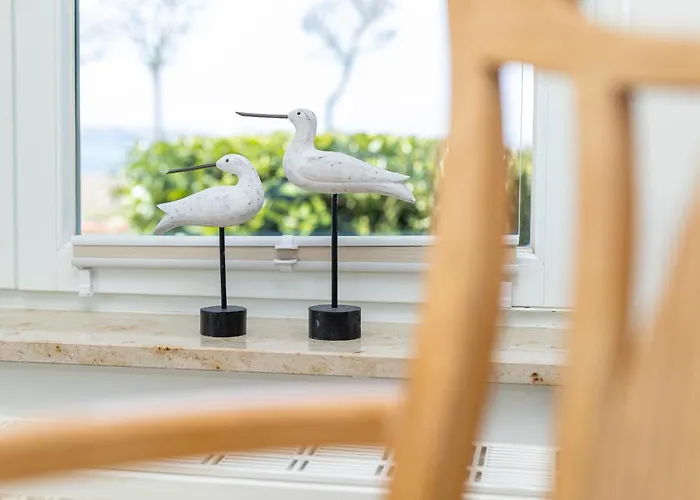 Foerdestrand Sehpferdchen